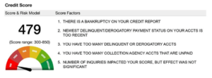 tenant screening credit score